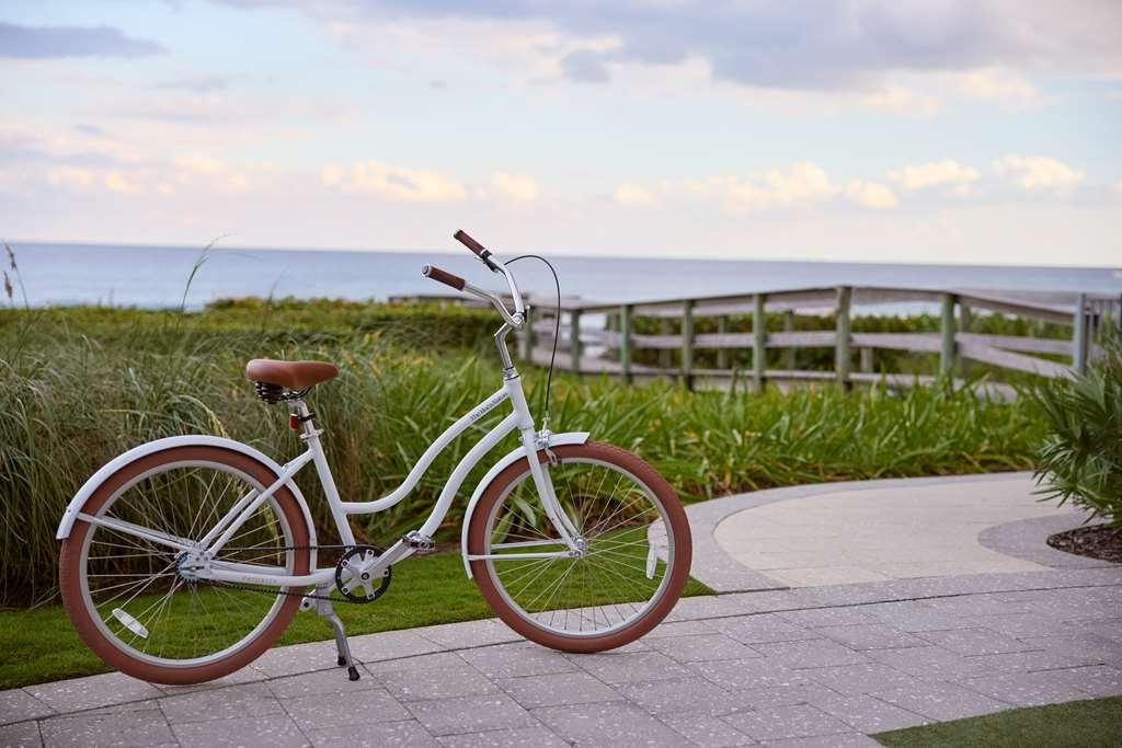 Yacht Club At The Boca Raton Adults-Only Hotell Natur bild